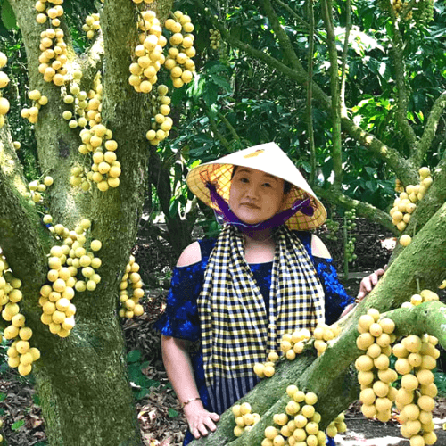 Nhạc Sống Hà Tây 2019 Liên Khúc Nhạc Sống Remix Trữ Tình