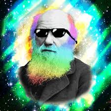 Nhạc Sàn Nonstop Hot Taboo Style Bar Club