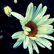 Nonstop Nhạc Sàn Cực Mạnh Nhạc Bay 