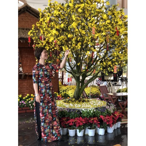 Nhạc Sống Hà Tây Mới Nhất - Album Xuân Quê Nhà Cực Hay